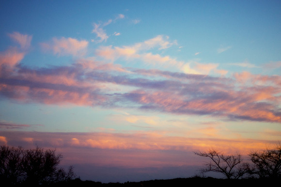 Bertazzoni, Nikon, clouds, colors, details, horses, nature, nature, scape, scenic, sky, sky, structure