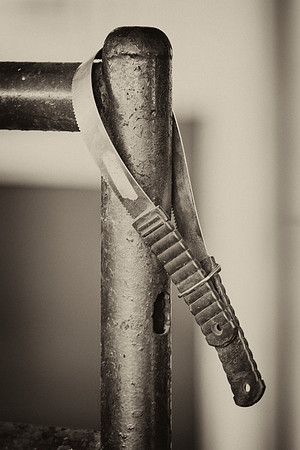 scraper, metal, abstract, "black & white", Bertazzoni, Nikon, barn, horses, hair, hose, brushing, contrast,