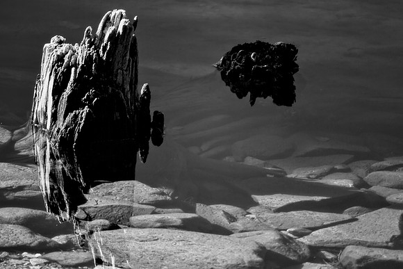 Rocks in the Water